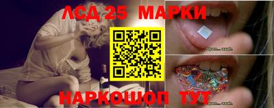 PSILOCYBIN Кулебаки