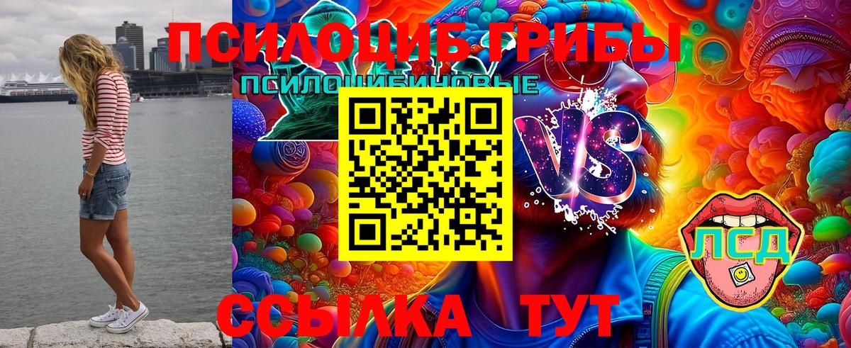 Гай  Галлюциногенные грибы Cubensis  Псилоцибиновые грибы мухоморы  Вход с VPN 