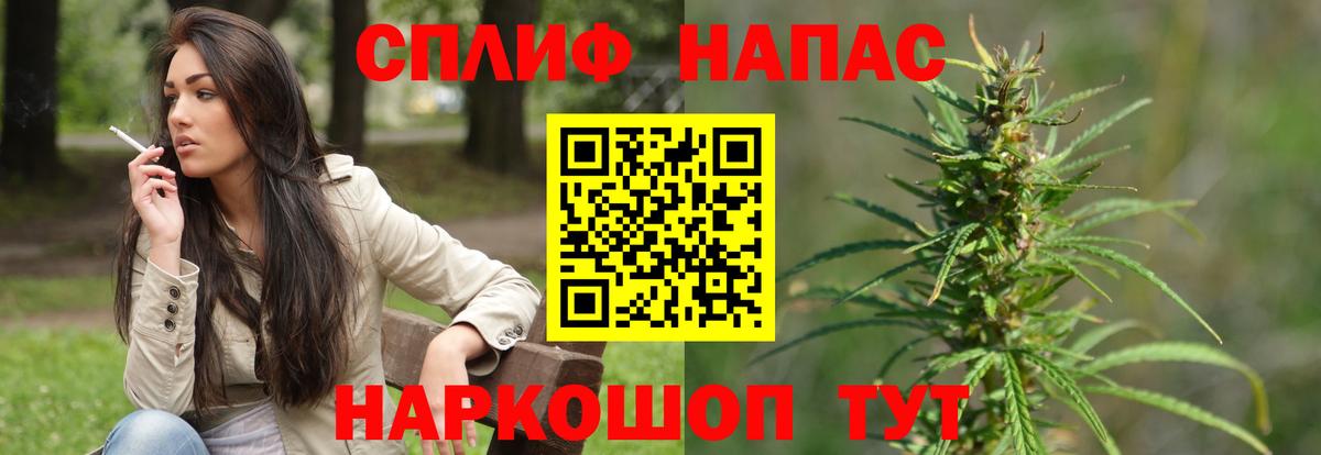 Бошки марихуана индика Гай